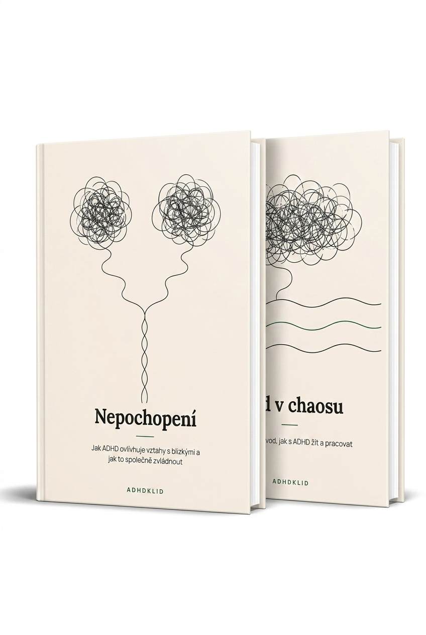 Klid v chaosu + Nepochopení